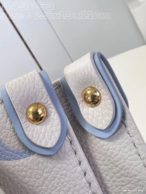 Aaa replica ru PM-25*19*11.5cm LOUIS ONTHEGO VUITTON 0725